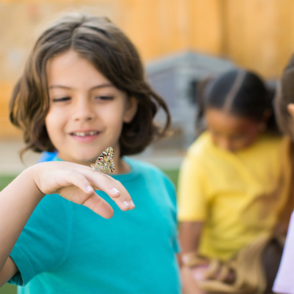 Ein Kind hält einen Schmetterling auf seinem Handrücken und lächelt in die Kamera.