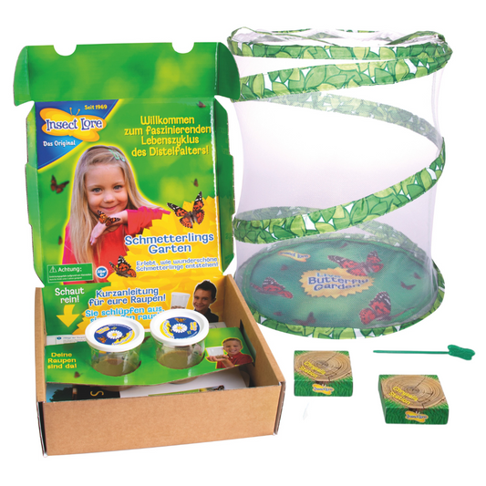 Schmetterlingsgarten - Schmetterlinge züchten Aufzucht Set
